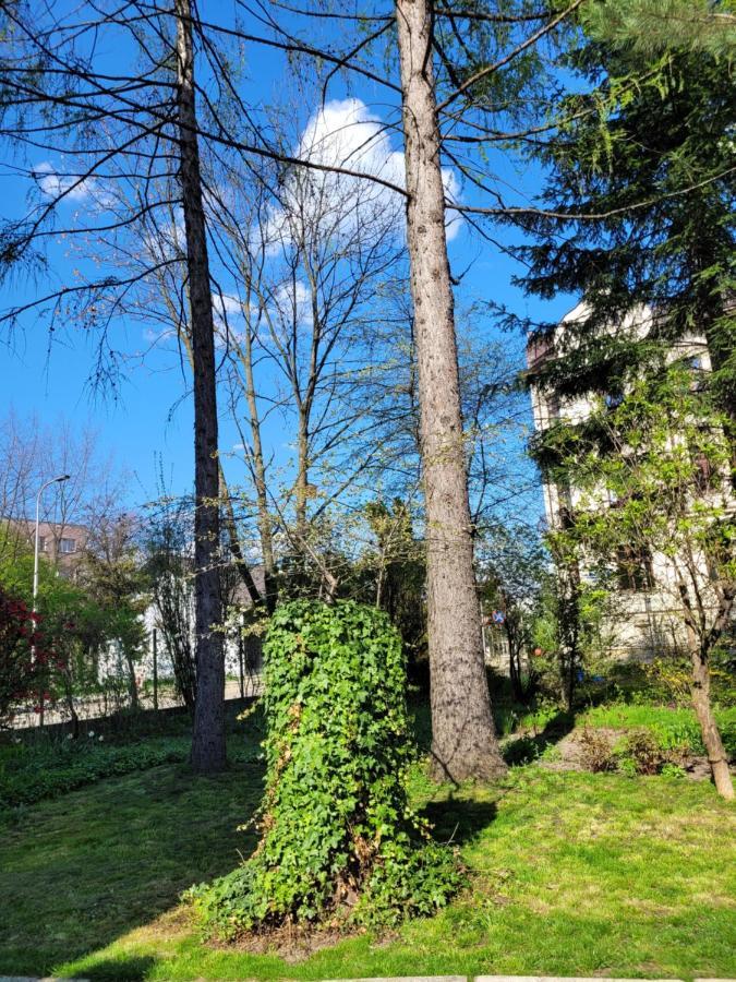 Cichy Apartament W Centrum Nowy Sacz Nowy Sącz Exterior foto